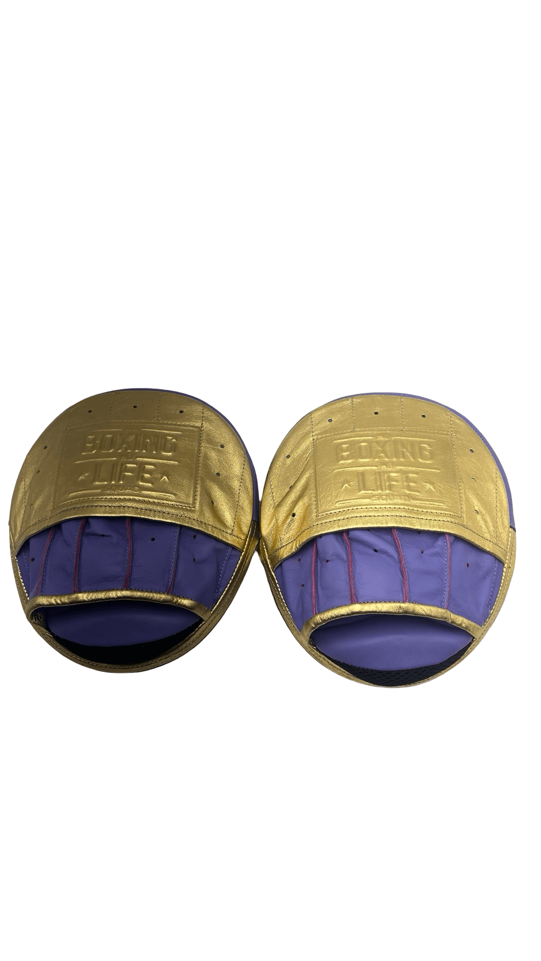 No Boxing No Life Purple/Gold Punching Mitts Premium Heavy Duty Training Mitts Front View