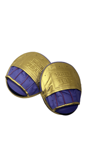 No Boxing No Life Purple/Gold Punching Mitts Premium Heavy Duty Training Mitts
