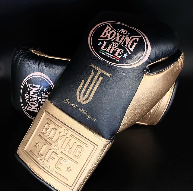 No Boxing No Life Black/Gold Leather Boxing Gloves Heavy Duty Training Pair