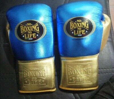 No Boxing No Life Boxing Gloves Blue/Gold on Hands Training Action Shot