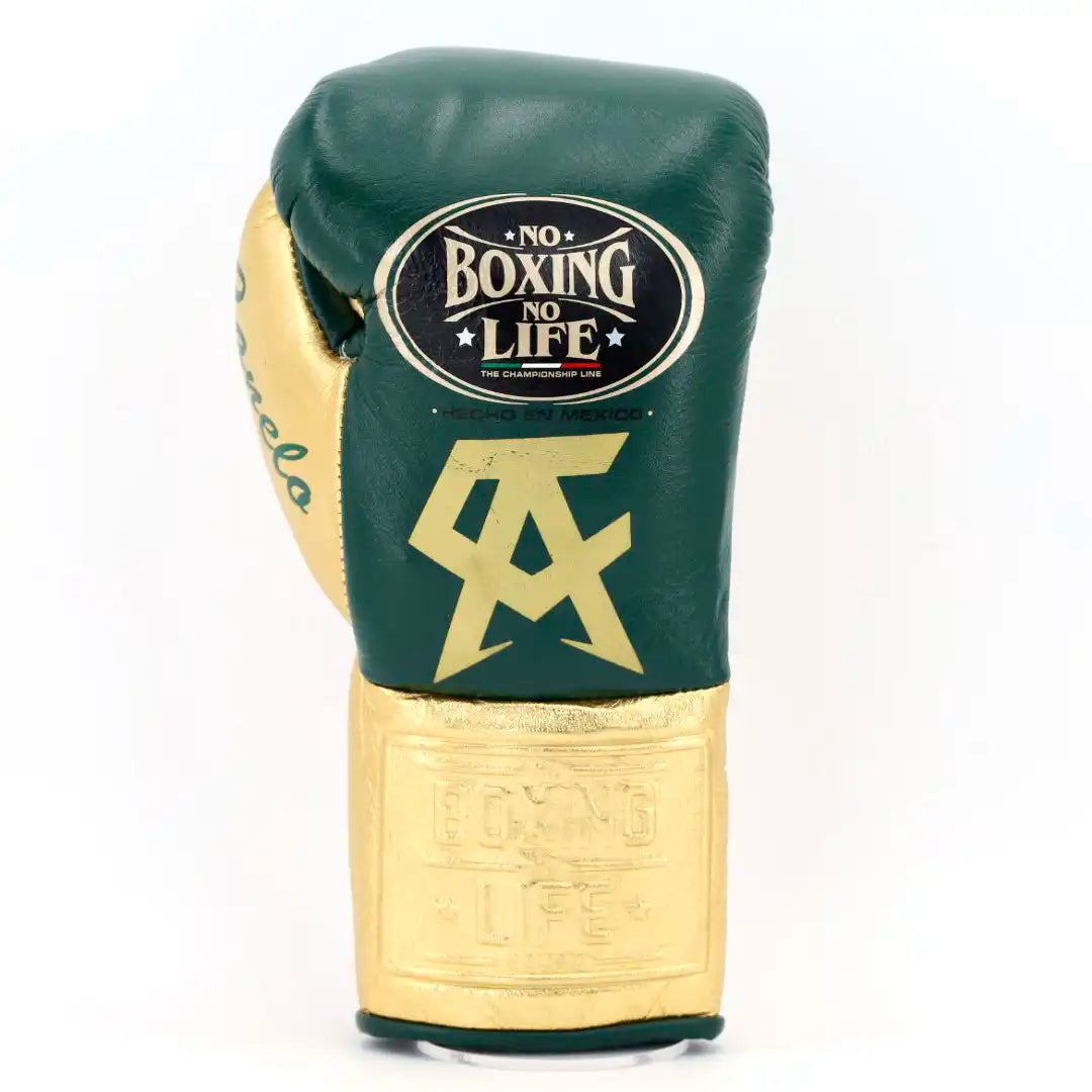 No Boxing No Life Boxing Gloves Dark-Green/Gold 14oz Leather Training Gloves Back View