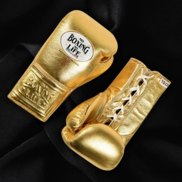 No Boxing No Life Gold Boxing Gloves Premium Quality Training