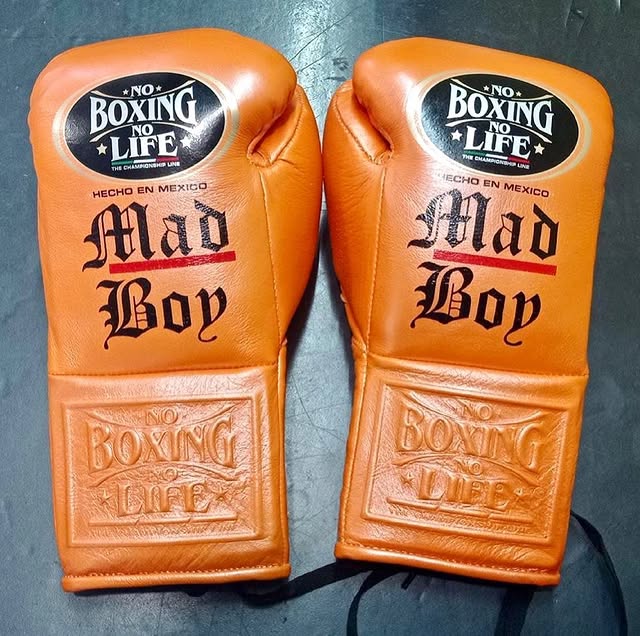 No Boxing No Life Orange 14oz Boxing Gloves Custom Sparring Gloves