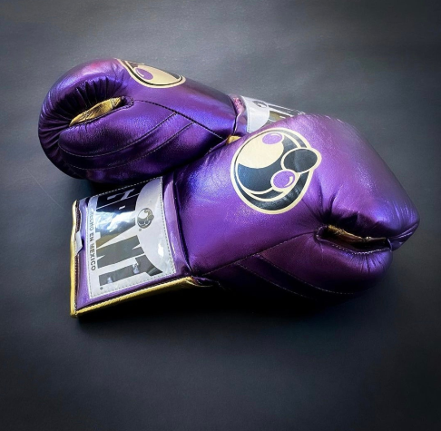 GRANT boxing glove, PURPLE Grant boxing gloves, thanksgiving gift for students, Christmas gift, Birthday gift for Friends, Wedding gift for Men, Gift shop, Halloween gift for Kids