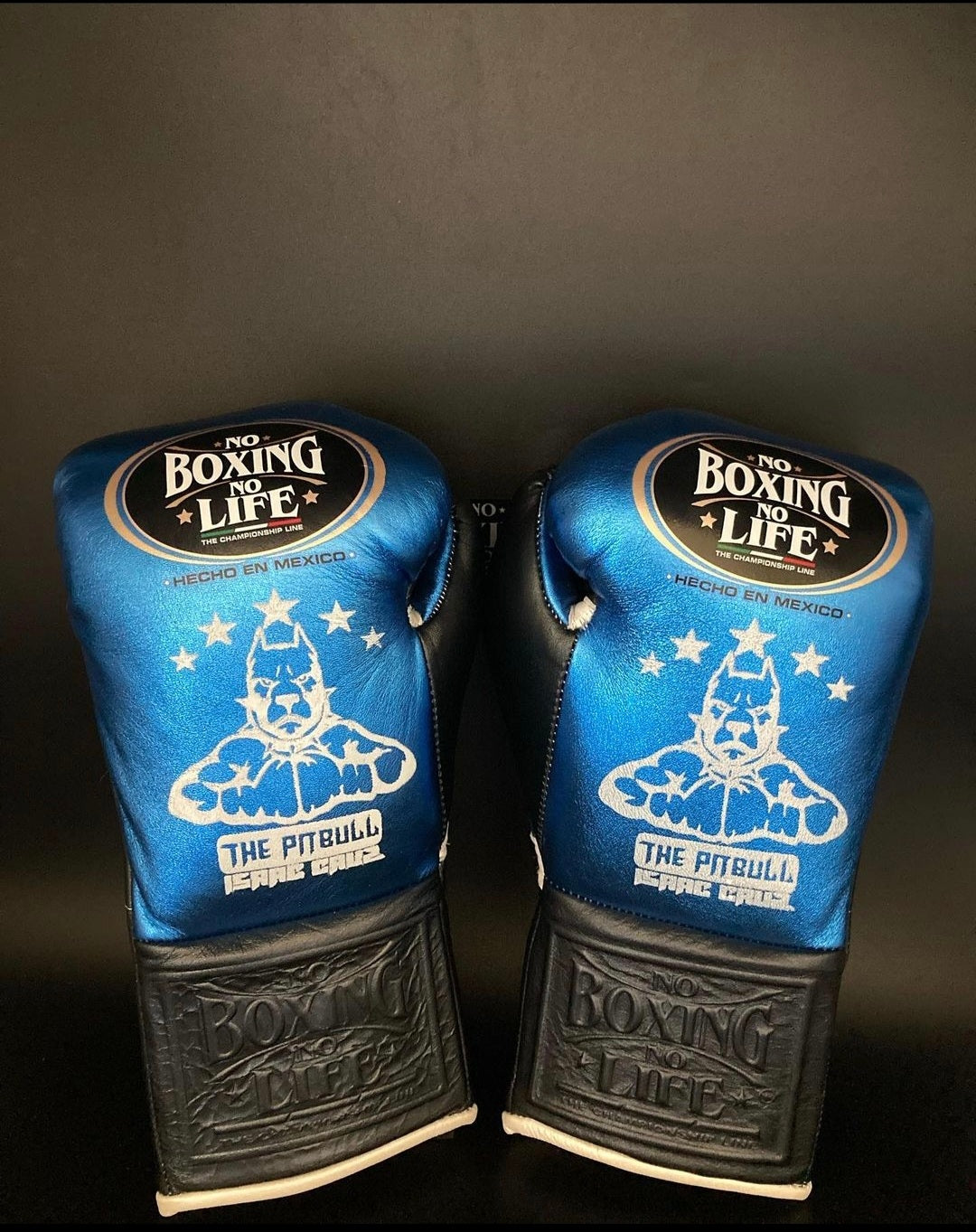 Heavy Duty No Boxing No Life Training Gloves Blue/Black Customizable