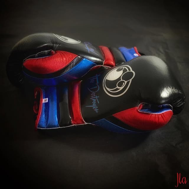 Budget Grant Custom Boxing Gloves Black/Blue/Red Heavy Training