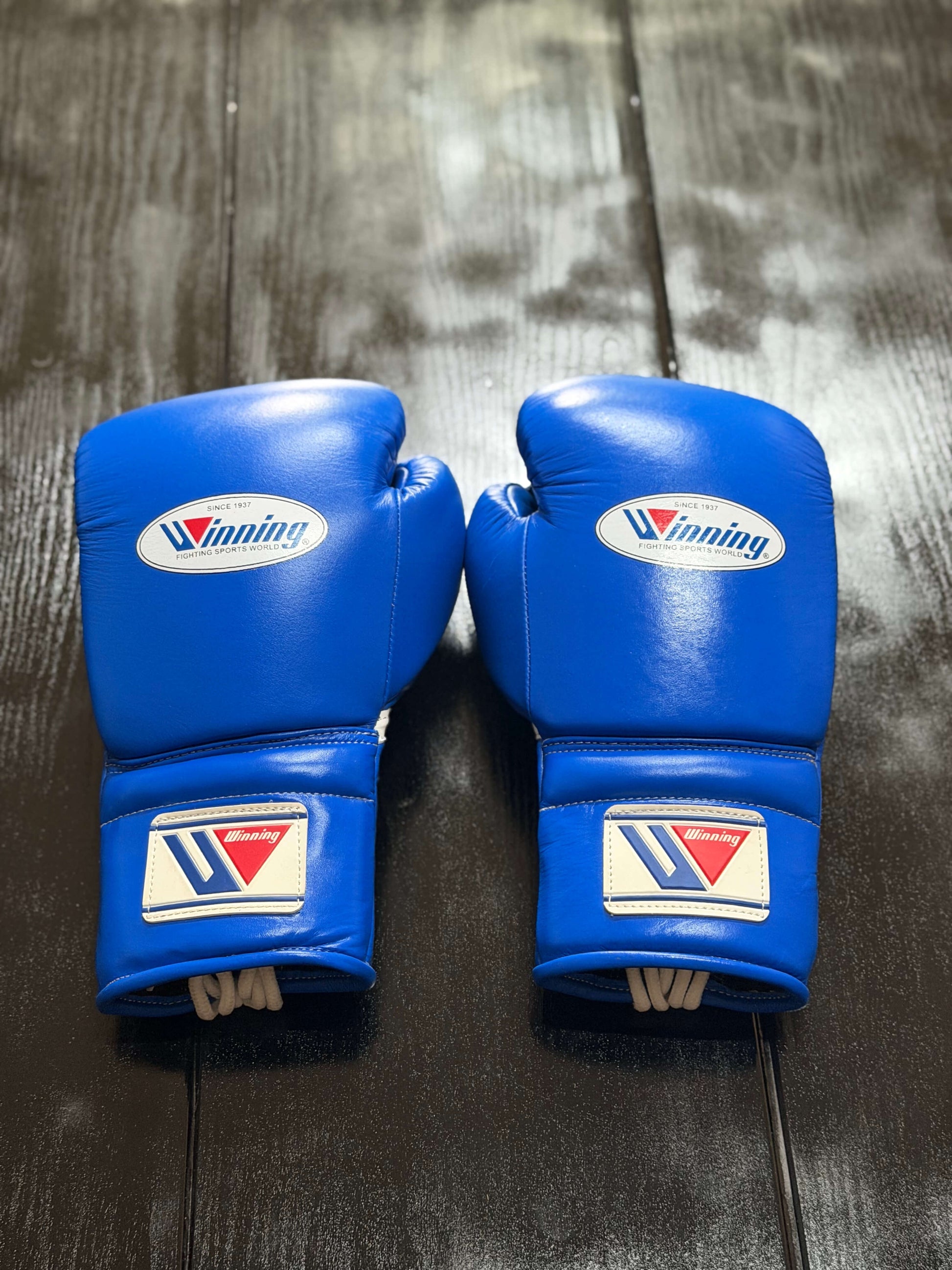 Winning Boxing Gloves Blue Leather Training Gloves Back View