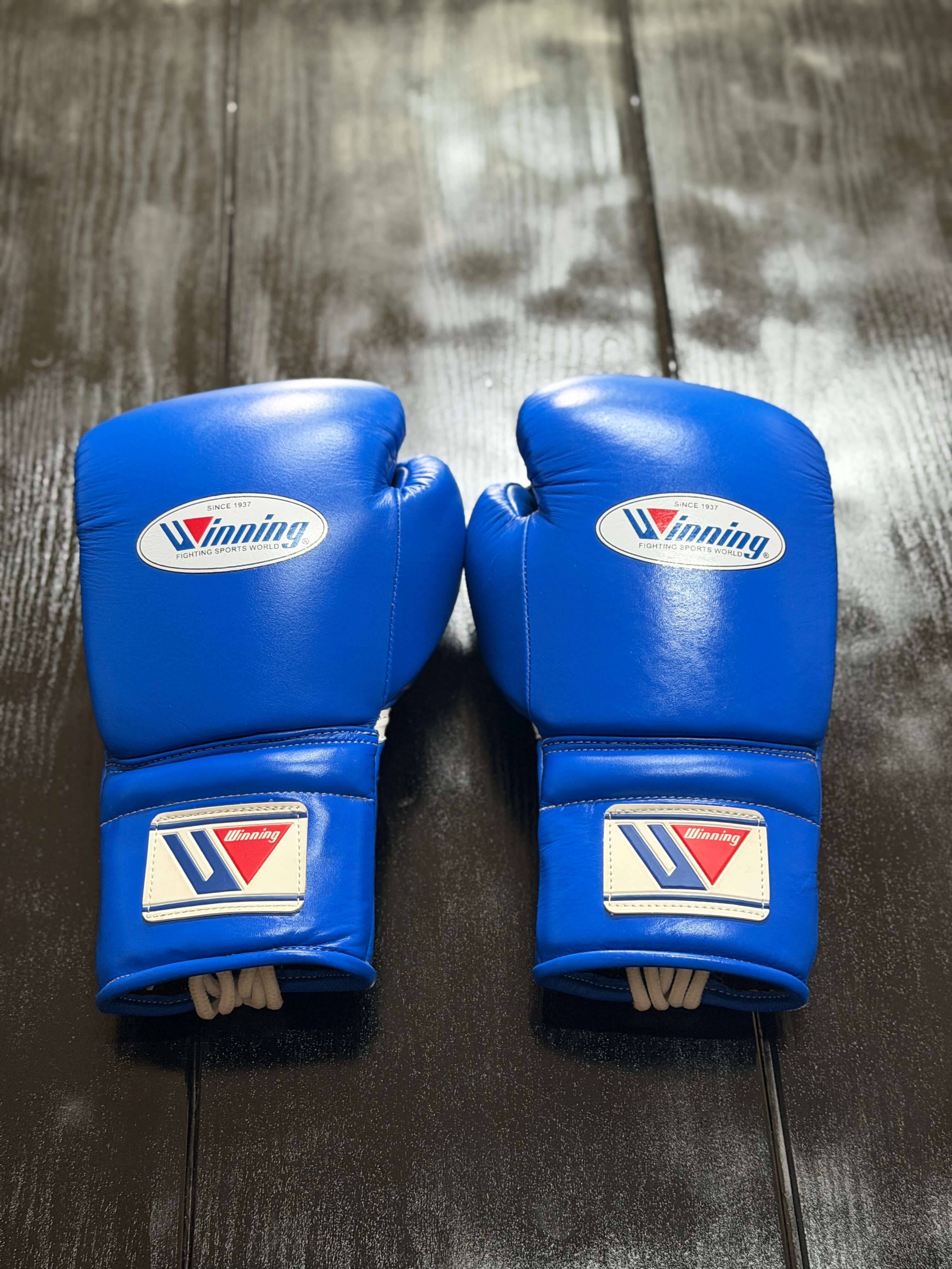 Winning Boxing Gloves Blue Leather Training Gloves Back View