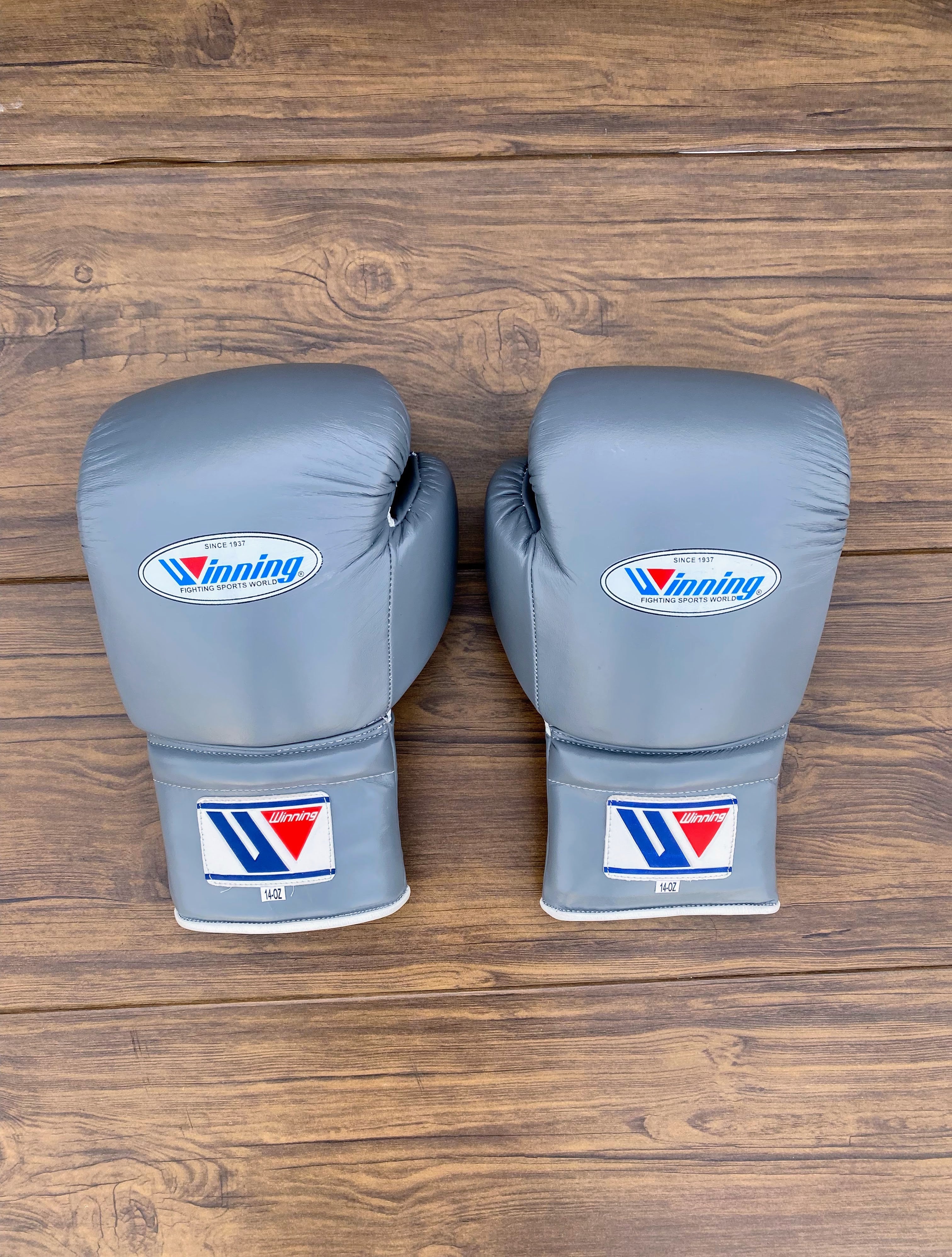 Winning Grey Boxing Set Premium Training Gloves Back View