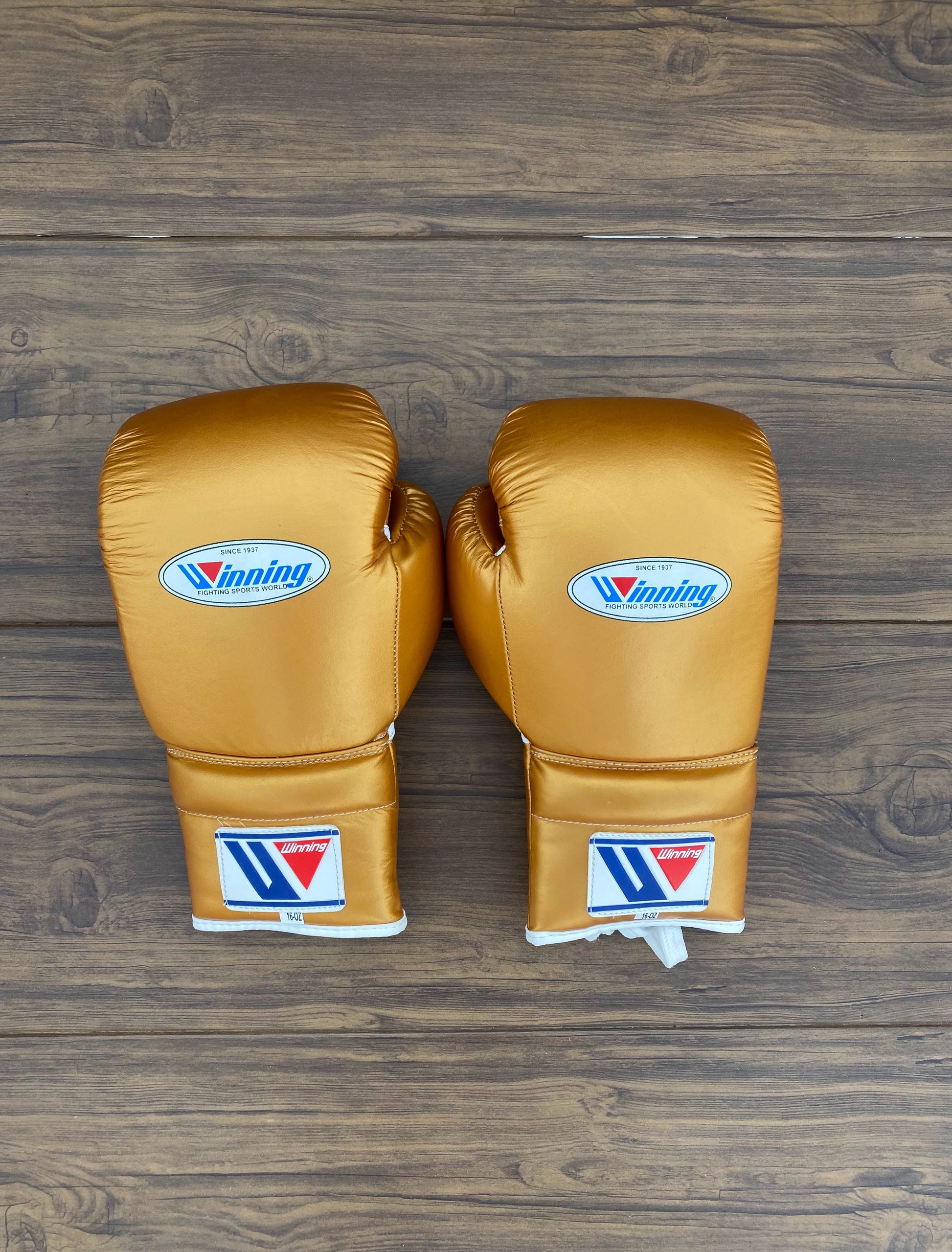 Winning Boxing Set Gold Gym Training Gloves Back View