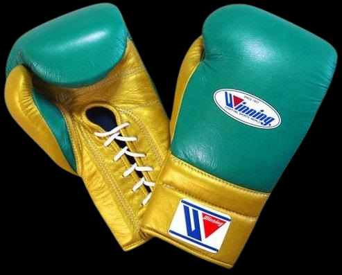 Winning boxing gloves, christmas gift for mens Thanksgiving gifts for him