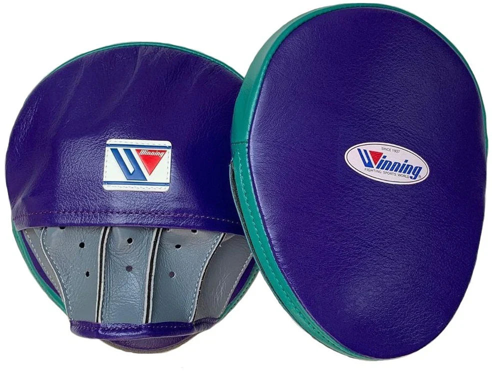 Winning Punching Mitts | Purple/Grey/Green