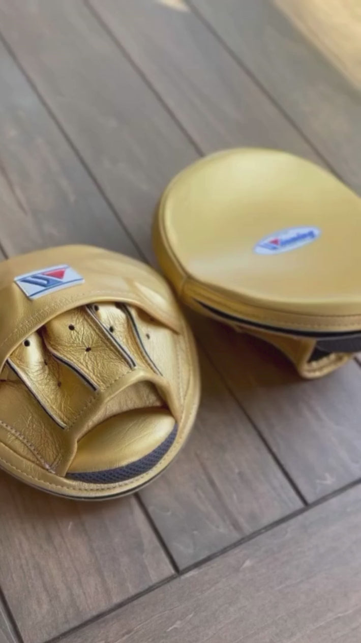 Winning Punching Mitts | Golden