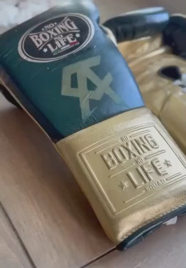 No Boxing No Life Glove - online, NBNL Boxing Gloves, Leather Gloves